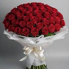 Букет 101 Красная роза Блэк Мэджик в Боровихе