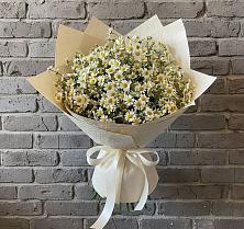 Букет цветов из:  Ромашки #REPLACE_PRED# Боровихе
